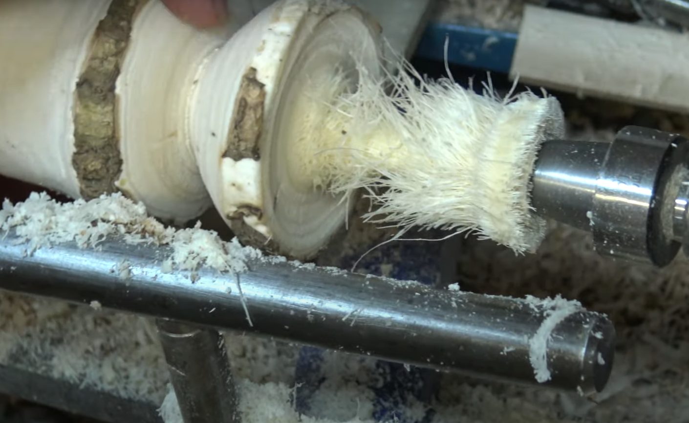 Is Palm Tree Wood Good for Anything? GardenProfy