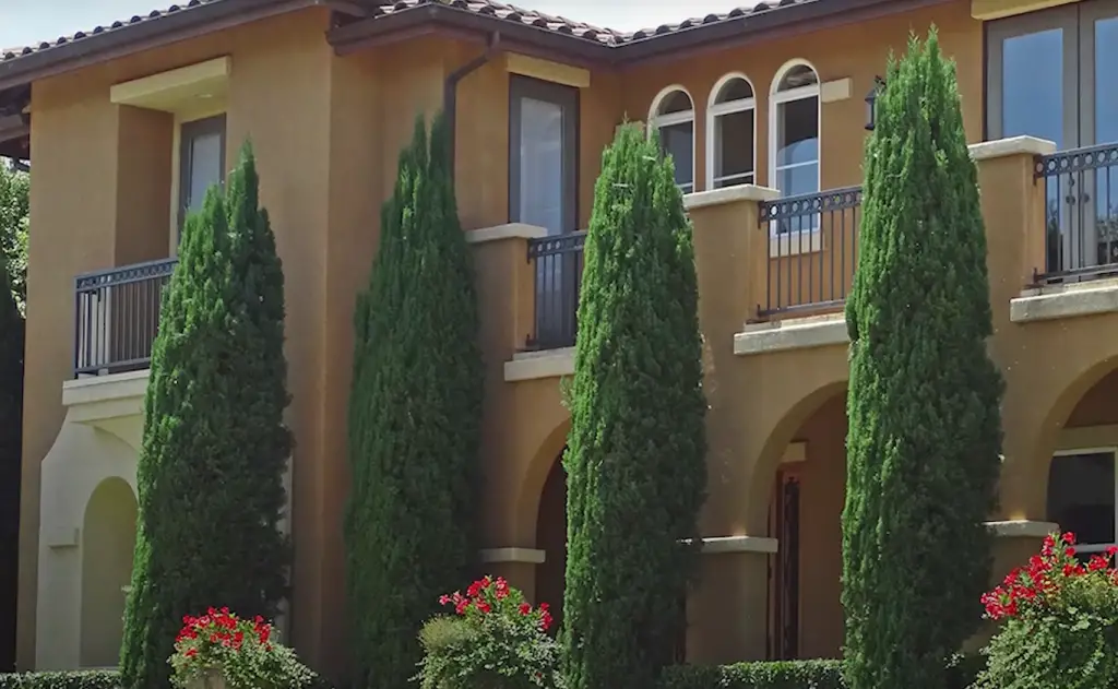 Can you control the height of an Italian cypress tree?