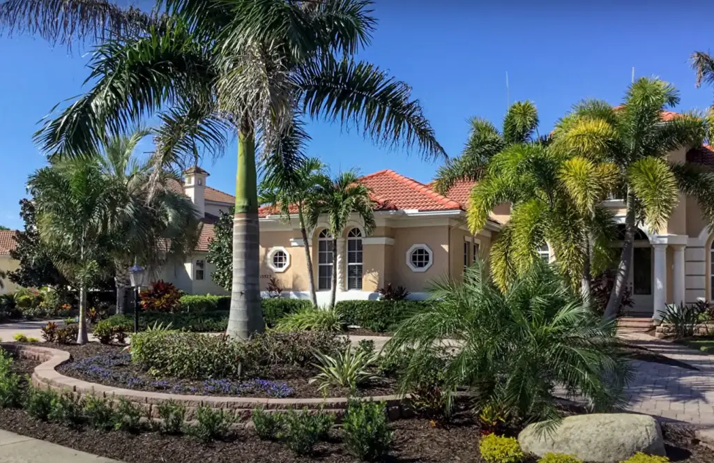 Landscaping With Palm Trees: The Basics