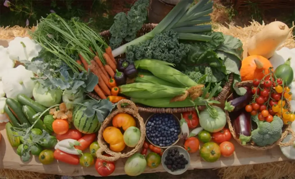What Types of Vegetables Grow Best in Colorado?