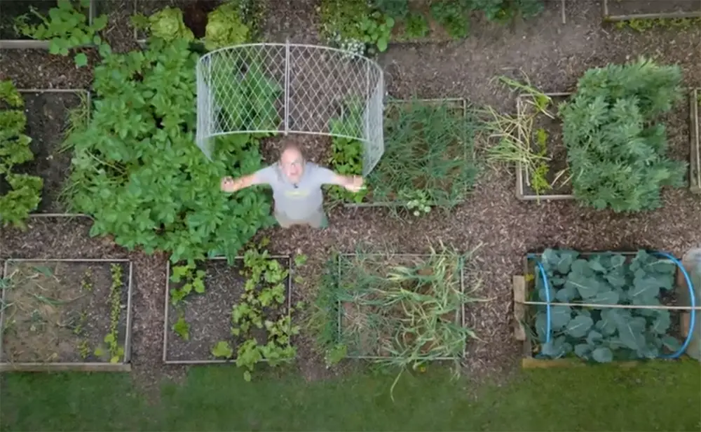 How to start a vegetable garden in Colorado?