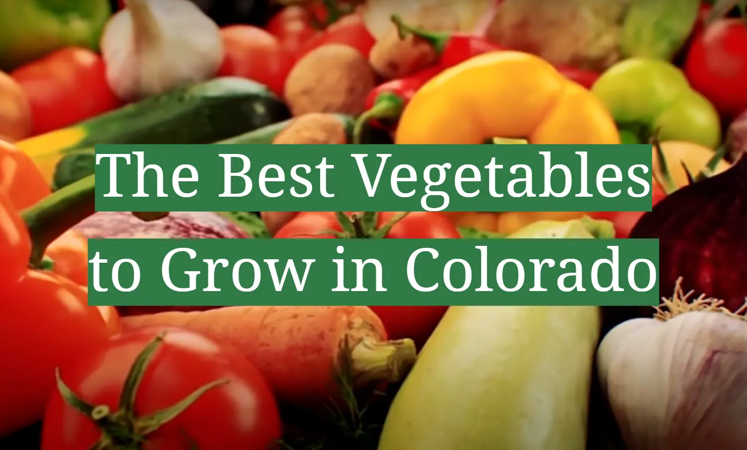 The Best Vegetables to Grow in Colorado