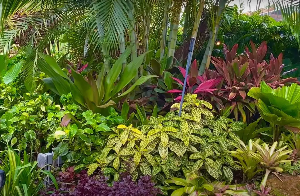 What is Florida-friendly landscaping?