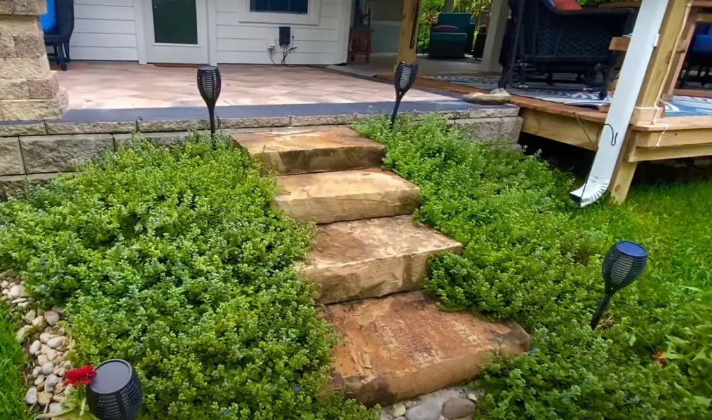 A DIY Backyard Landscape Design