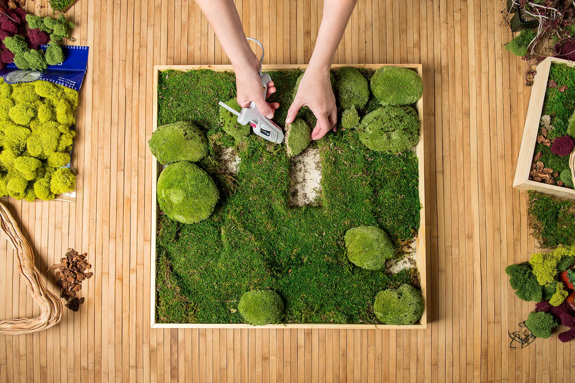 How to make a living moss wall