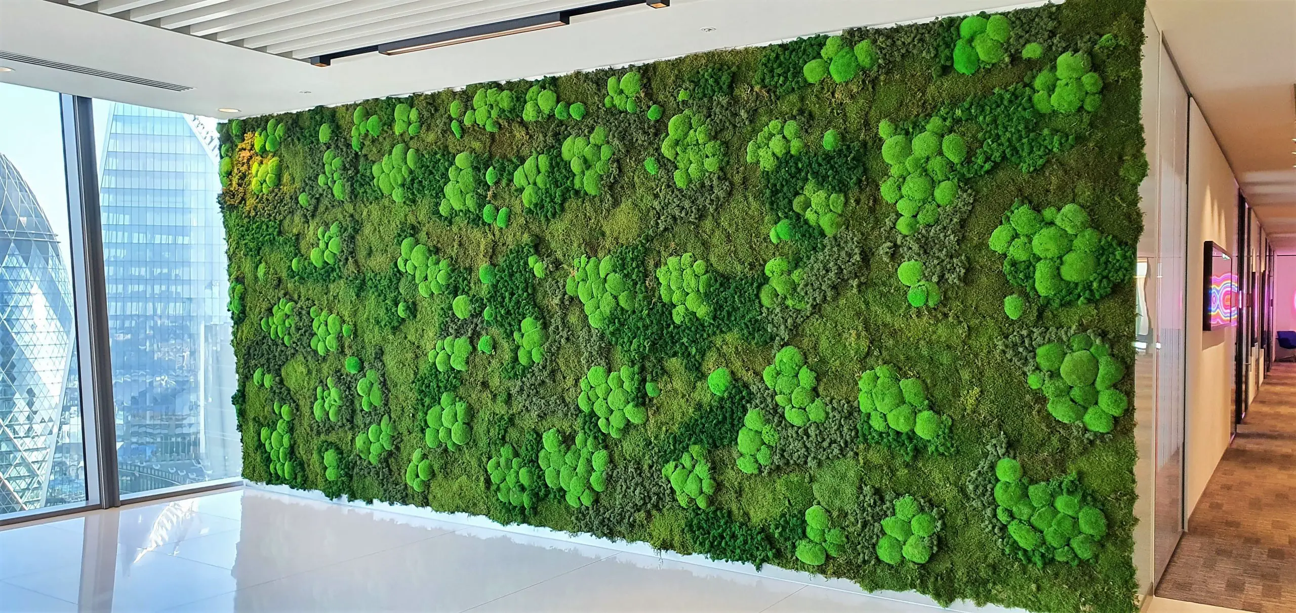 Indoor Moss Wall Vs. Outdoor Moss Wall