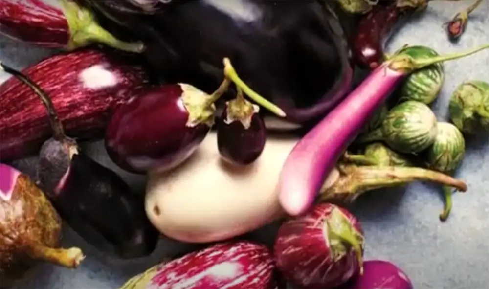 Eggplant types